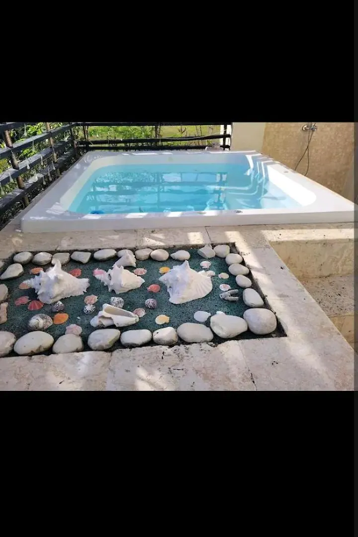 Cap Cana Playa Vip Service Punta Cana