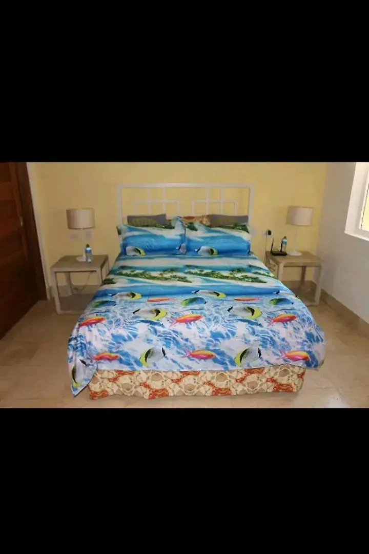 Cap Cana Playa Vip Service Punta Cana 0*,